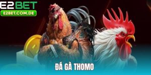 Đá Gà Thomo E2bet Uy Tín – Cá Cược Nhanh Chóng, An Toàn