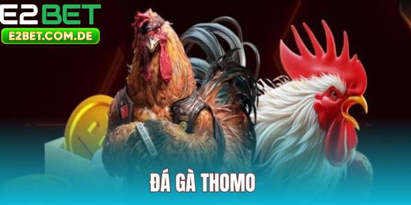 Đá Gà Thomo E2bet Uy Tín – Cá Cược Nhanh Chóng, An Toàn